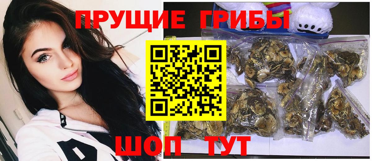 Галлюциногенные грибы мицелий Нерюнгри